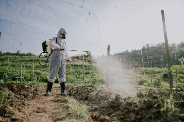 Best Commercial Pest Control Services  in La Conner, WA