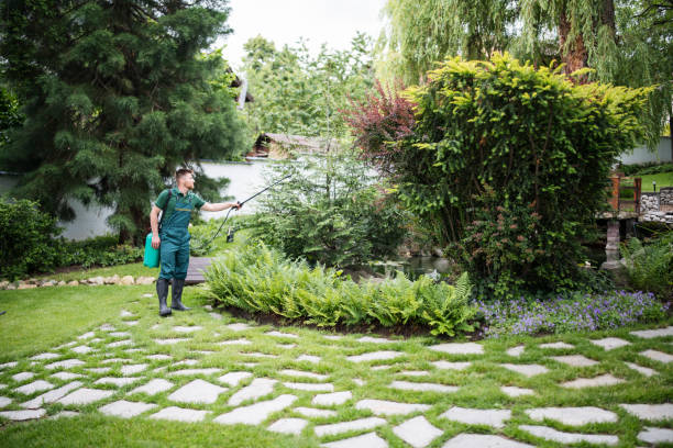 Reliable La Conner, WA Pest Control Solutions