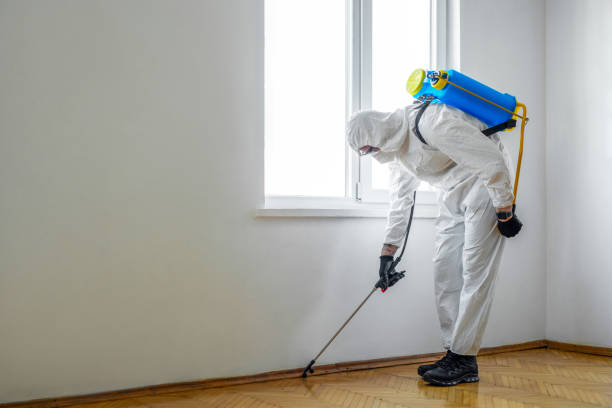 Best Affordable Pest Control Services  in La Conner, WA