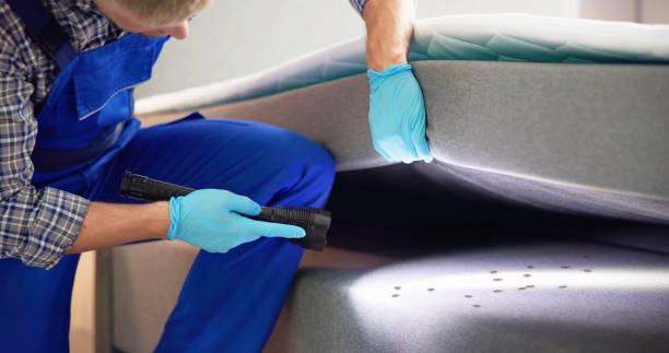 Best Rat Extermination Near Me  in La Conner, WA