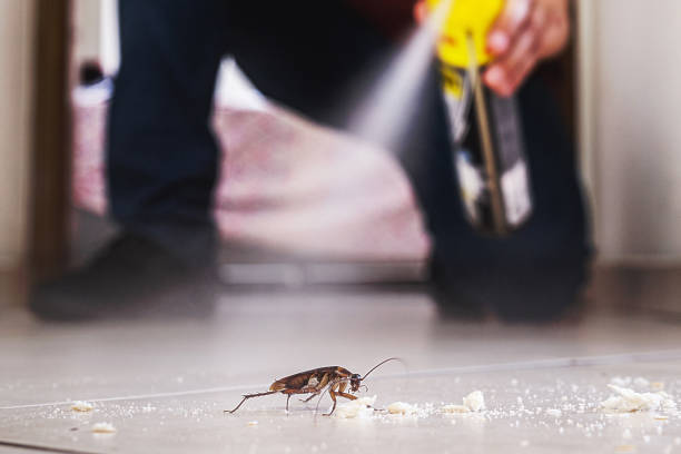 Best Pest Control Treatment  in La Conner, WA