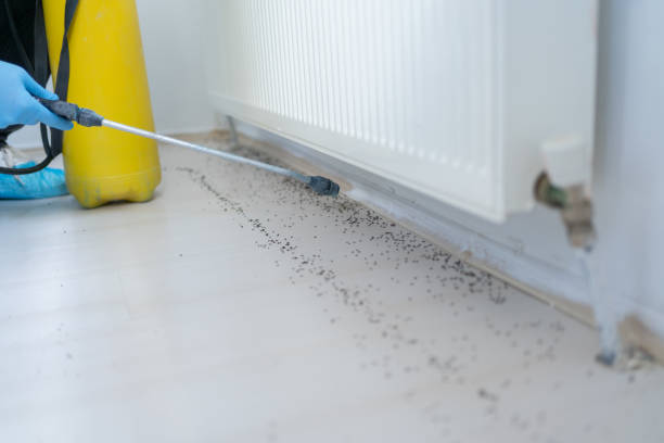 Best Wildlife Control Services  in La Conner, WA